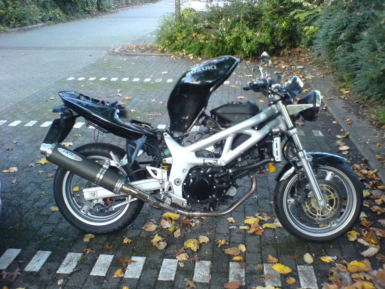 SV 650